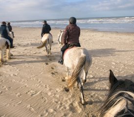 Horse-riding in Le Touquet