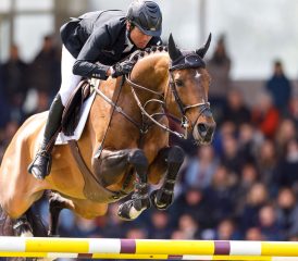 International showjumping
