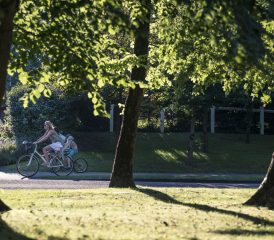 Lost in the forest by bike