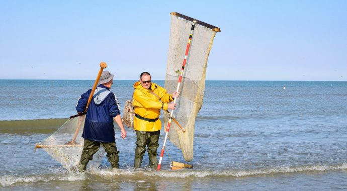 Partons à la pêche à la crevette