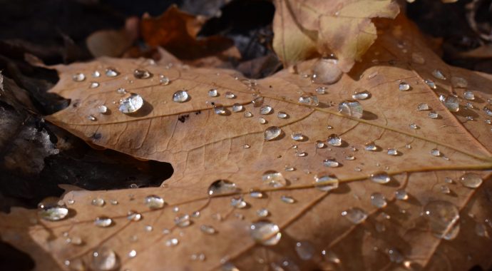 Making the most of a rainy day!