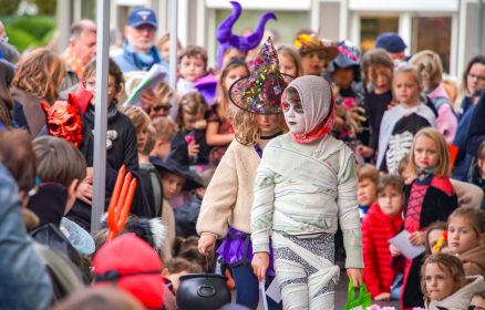 Concours de citrouilles sculptées