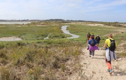 Balade nature en baie de Canche