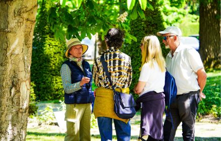 Visite guidée – La Forêt du Touquet au fil des saisons
