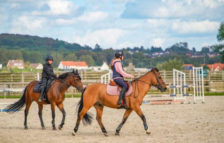 Stage équestre Nature & Care