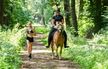 Grande chasse aux oeufs