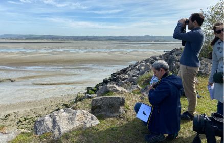 Visite guidée – Goûtons l’estuaire !